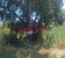 Terrenos Valongo - Fotos para Valongo-Terreno em Campo (RT 01304)